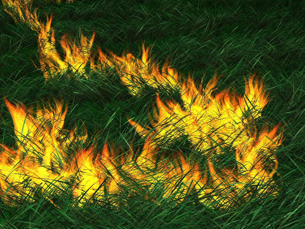Grassfire