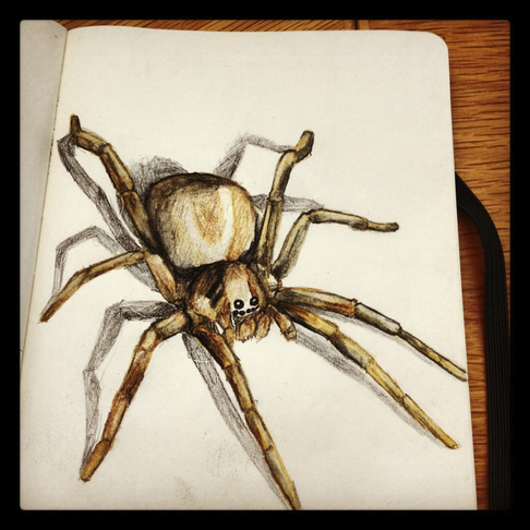 Imsevimse spindel Imsevimse spindel