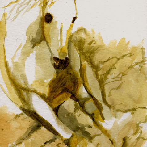 Hst med fart Hst med fart